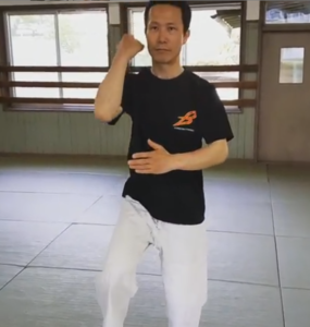 金剛搗碓の使い方