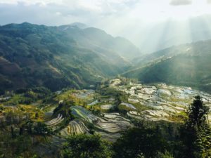 太極拳の健康効果は？